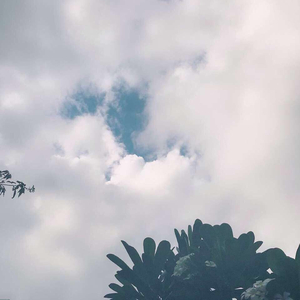 日本欧美在线视频
